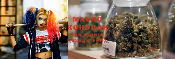 бошки Бородино