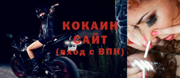 бошки Бородино
