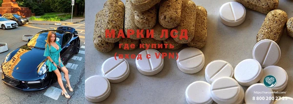 бошки Бородино