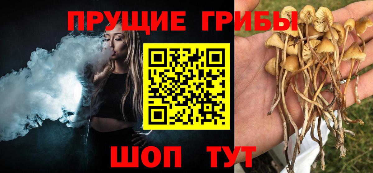 Псилоцибиновые грибы GOLDEN TEACHER  Вход с VPN  Радужный 