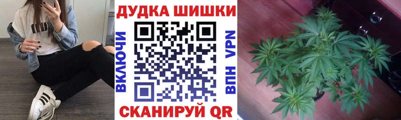 Купить  Радужный  Бошки марихуана SATIVA & INDICA 